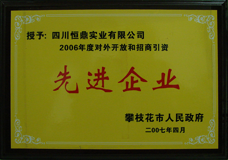 200704 2006年度对外开放和招商引资先进企业.JPG