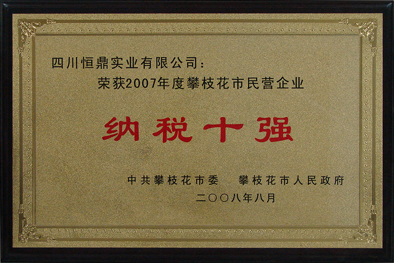 200808 2007年度攀枝花市民营企业纳税十强.JPG