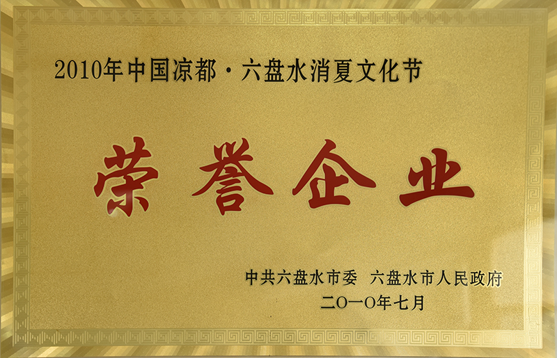 201007 2010年中国凉都.六盘水消夏文化节荣誉企业.JPG